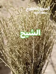  6 منتجات بلديه