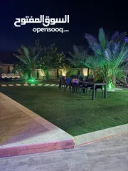  5 فيلا لليجار اليومي  اريحا قصر هشام