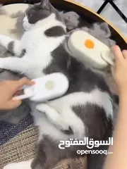  2 ماكنة تنظيف قطه او كلب  البخار لتعقيم القطط و انسبال شعرها و التخلص من الزائد و قتل كل البكتيريا و ا