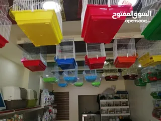  4 بظاعة محل طيور وحيوازات اليفه للبيع