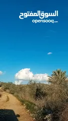  1 ارض للبيع بسعر مميز