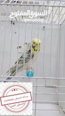  1 سعر حرققققق