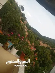  11 منزل مستقل للبيع في عرجان للاستفسار على هاذ الرقم