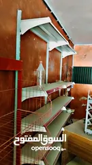  14 مستلزمات سوبر ماركت