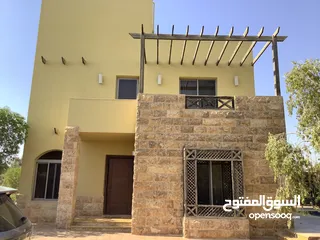 14 مزرعة في البحر الميت/ الشونه الجنوبية / السويمه / حوض جلد مميزة للبيع للجادين فقط