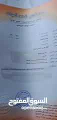  7 هونداي اكسنت 2003
