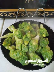  1 عكوب نخب اول مجهز بامهر البنات كما يوجد لدينا عكوب مفرز فقط لانتهاء الموسم