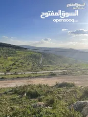  4 نمرة مميزة في أجمل جبال جرش إطلالة خلابة من كل الجهات بجانب شاليهات الرويال