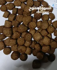  10 اعلاف أسماك ALFA-MIX FISH FEED