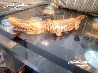  19 مناظر حيوانات للبيع بسعر مغري