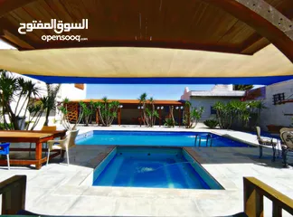  13 مزرعة بشار