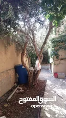  5 منزل مستقل طابقين للبيع بحالة ممتازة شارع القدس بالقرب من مدرسة خولة بنت الازور الحكومية