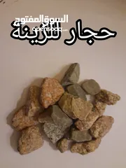  11 حوض سمك بسعر حرق اقرأ الوصف+عرض لفترة محدودة  بسعر حرق منافس للأخرين اقرأ الوصف
