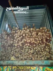  4 Bamboo container  الخيزران الباكستانيه