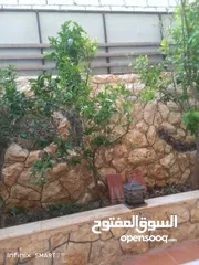  7 شبك حديقه منزليه
