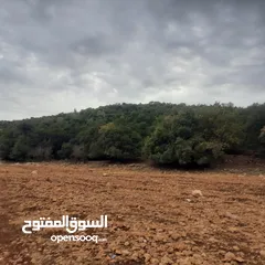 4 ارض للبيع في عجلون منطقة عفنا السوس