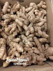  8 كركم بلدي طازج إنتاج مزارعنا للبيع، طبيعي 100% بدون مواد كيميائية طبيعي عضوي 100% وله فوائد صحية