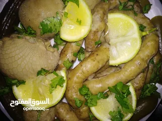  14 طعام تواصي بيتي