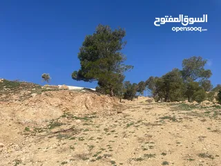  20 ارض للبيع / الصبيحي 18 دونم تقع على شارع رئيسي ‏بإطلالة مميزة وجميلة ويوجد بجانبها مطعم