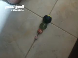  2 كلول قنكات دعابل للبيع