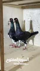  4 حمام نظيف شغال سعر مناسب لكل جوز_____