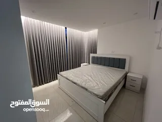  4 شقه مفروشه للايجار في المصيون