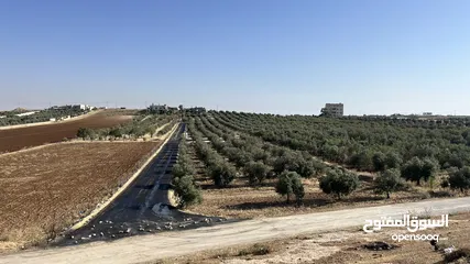  2 ارض للبيع في حسبان قريبة من شارع المطار ومرج الحمام على شارع مأدبا الغربي قريبة من الجامعة الألمانية