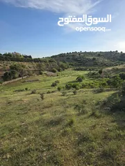  2 غرب سوف سهلات الغربيه قرب قصر السفير الاماراتي منطقه فلل و مزارع راقيه