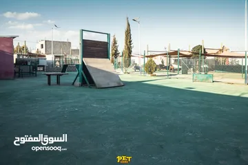  10 تدريب جميع انواع الكلاب وفندق خاص للكلاب