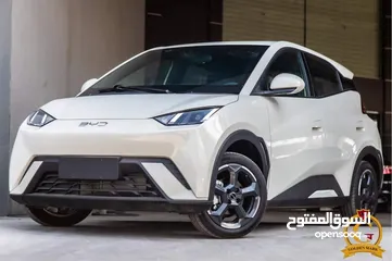 1 بي واي دي سيجال 2024   Byd Seagull 2024