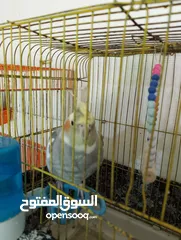  10 Othman10Othman@@