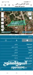  3 دونمين ونصف زيتون للبيع في عجلون قرب التلفريك