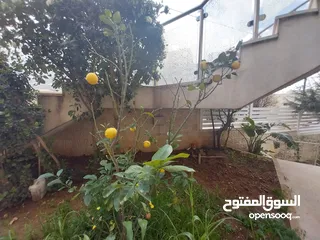  17 شقة للايجار في عبدون  ( Property 36956 )-175073010