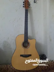  1 جيتار TE39