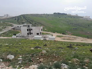  4 أرض للبيع السرو ابو طارة الشرقي مطلة - 500 متر