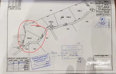  2 قطعة أرض مميزة في عجلون قرب قلعة الربض وتل فريك بسعر مغري جدا