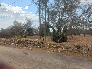  3 أرض مساحة 7 دونم في وسط دير غسانة وعلى ثلاثة شوارع