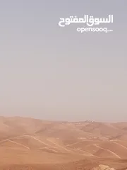  9 قطعه ارض مرتفعه ومطله منطقة شاليهات شرق جرش منطقة حميد  70 دنم سعر مغري جدا تصليح لمشروع استثماري