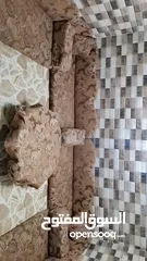  1 مجلس عربي نضيف
