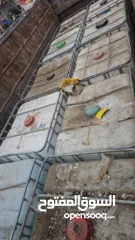  15 شروات مشكل