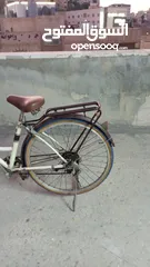  2 بسكليت للبدل على ببغاء الي عندو ما يقصر معنا