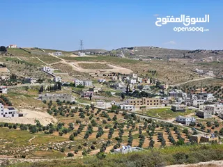 19 أرض سكنية 750 م للبيع في ام رمانه - 900 م عن شارع الأردن