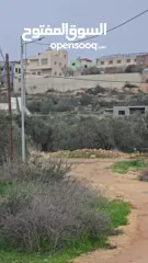  6 ارض للبيع تبعد عن الخط الرئسي 100 متر ارض ممتازه على شارعين وصلها جميع الخدمات