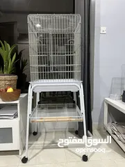  1 Cage for bird / birds قفص للطيور
