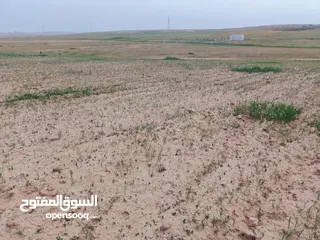  3 ارض للبيع من المالك مباشرة