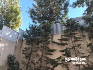  31 حداد متنقل في جميع مناطق عمان
