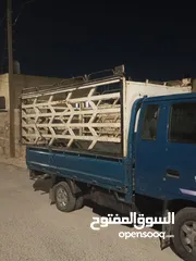  2 صندوق بنجو تب نضافه كمينه