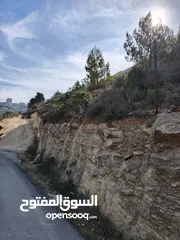  1 700 متر للبيع لوزا