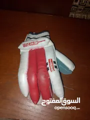  5 cricket batsman gloves of grey nicolls it is a pair