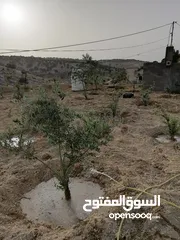  24 مزرعة في اربد كفر اسد للبيع